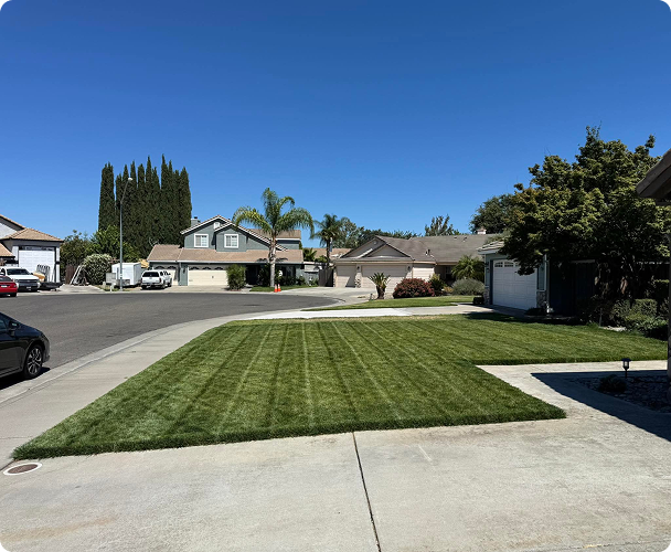 FB_IMG_1755310527380