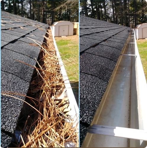 Screenshot_20250723_090422_Pinterest